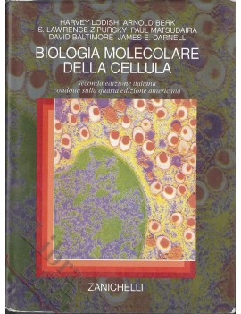BIOLOGIA MOLECOLARE DELLA CELLULA