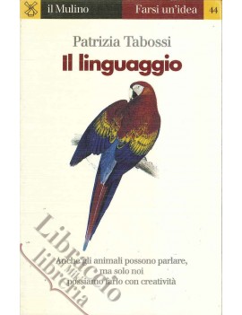 IL LINGUAGGIO