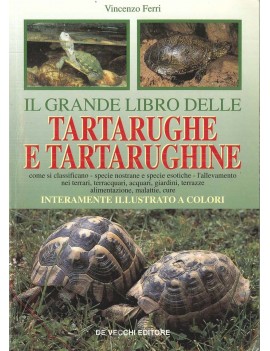 IL GRANDE LIBRO DELLE TARTARUGHE E TARTA