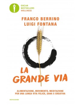 GRANDE VIA. ALIMENTAZIONE MOVIMENTO MEDI