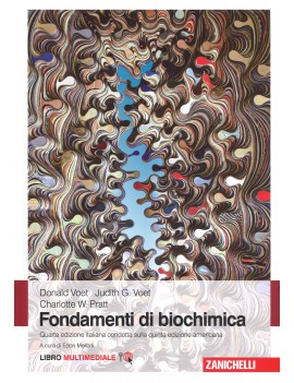 FONDAMENTI DI BIOCHIMICA IVed
