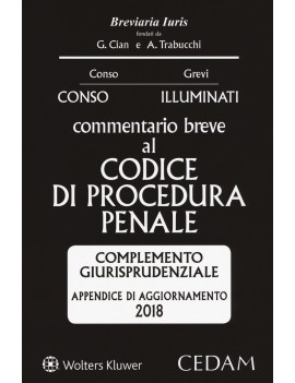 APPENDICE AGGIORNAMENTO CODICE PROCEDURA