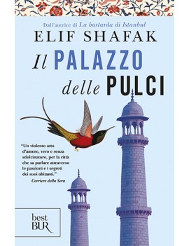 PALAZZO DELLE PULCI (IL)