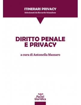 DIRITTO PENALE E PRIVACY