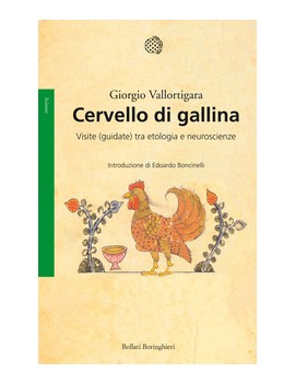 CERVELLO DI GALLINA. VISITE (GUIDATE) TR