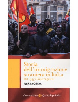 STORIA DELL'IMMIGRAZIONE STRANIERA IN IT