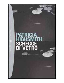 SCHEGGE DI VETRO