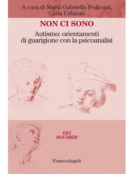 NON CI SONO