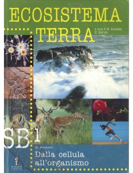 ECOSISTEMA TERRA